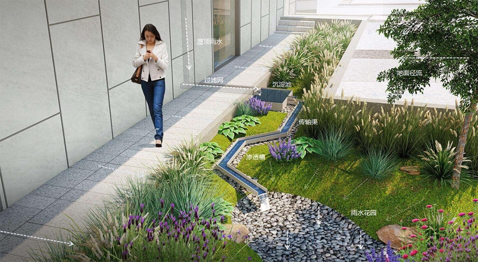 闾邱杰:高品质海绵城市建设需与景观设计融合